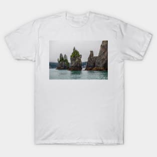 Rock Spire Seascape T-Shirt